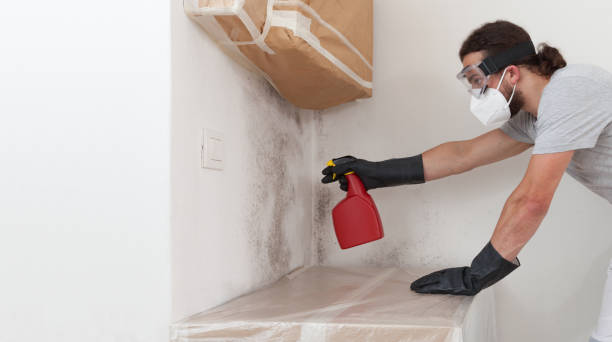 Professional Mold Remediation technician working in Mendota, IL